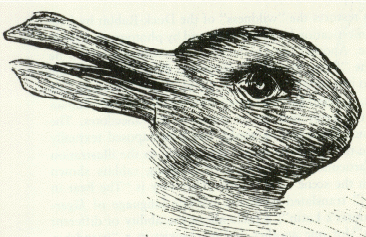An optical illusion which looks like a duck facing left or a rabbit facing right